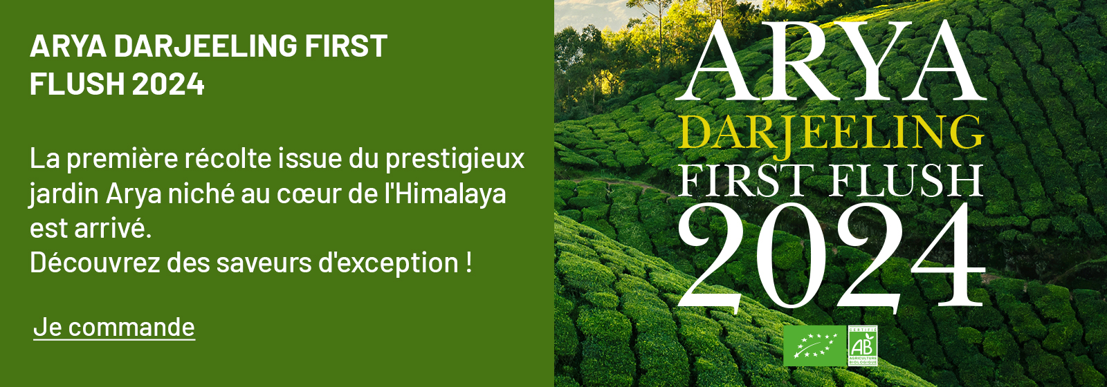 ARYA_FIRST_FLUSH_6_05_2024