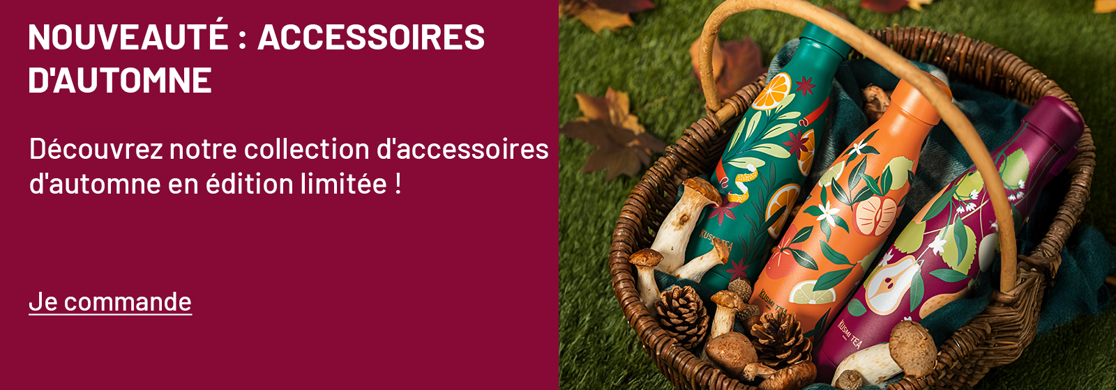 BANDEAU_ACCESS_AUTOMNE_19_08_2025_FR
